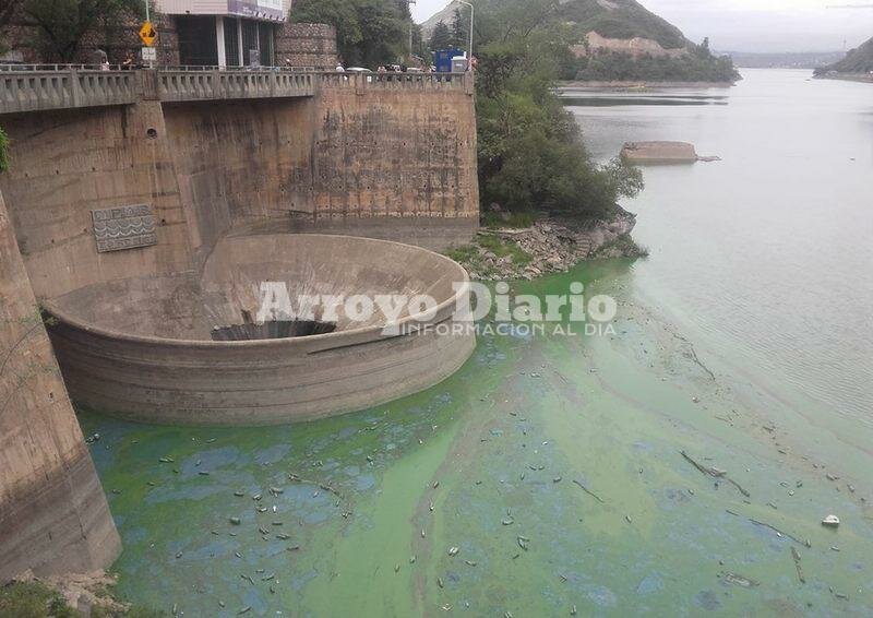 Imagen de Villa Carlos Paz: alertan a ba?istas por proliferaci?n de algas t?xicas