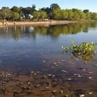 Palabra oficial. Especialistas explicaron que se trata de un fen?meno natural de escala regional,