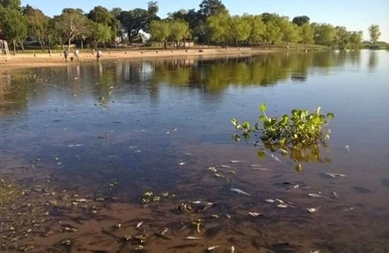 Palabra oficial. Especialistas explicaron que se trata de un fen?meno natural de escala regional,