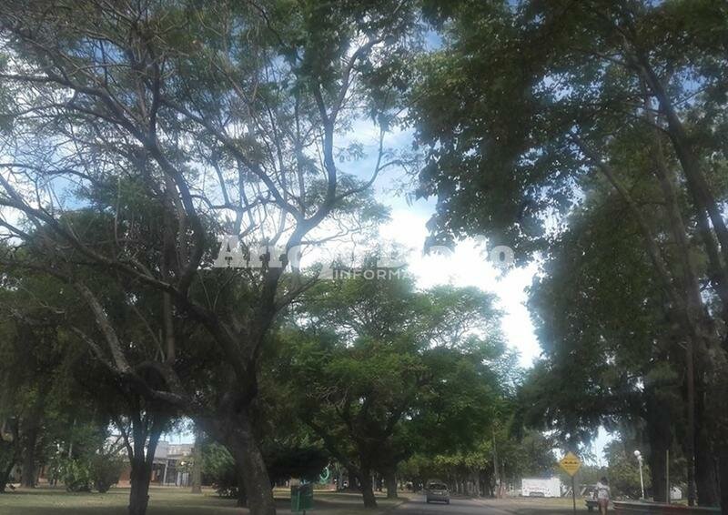 Imagen de ?Se vendr? el agua?: El SMN anticipa lluvias y tormentas