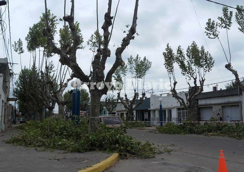 Zona centro. Los trabajos se iniciaron este lunes.