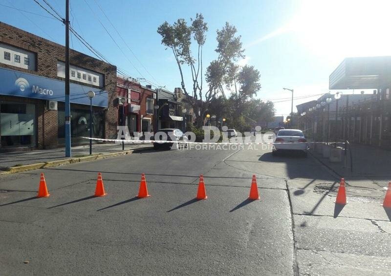 Imagen de Trabajos de escamonda y calle cortada