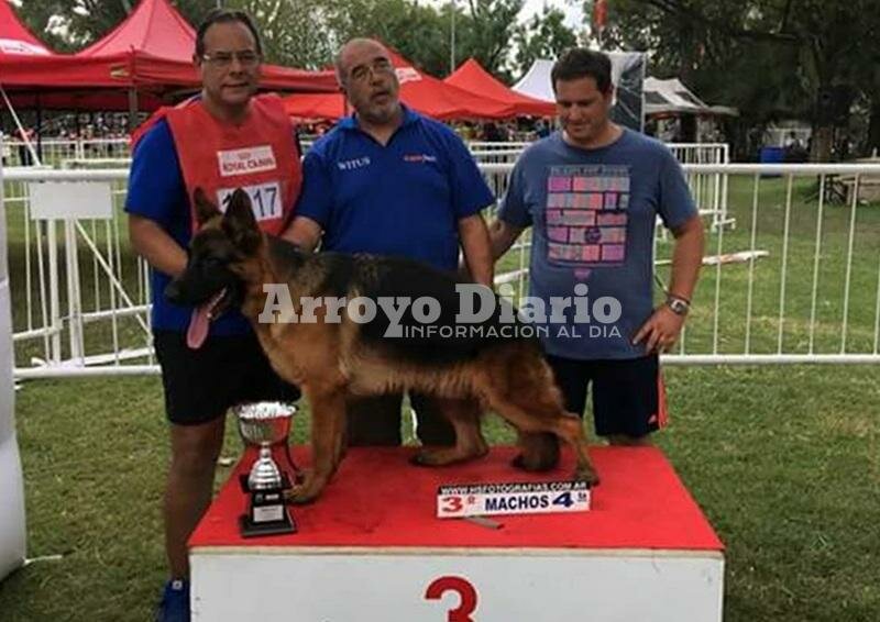 Imagen de Criado en Fighiera y premiado a nivel nacional