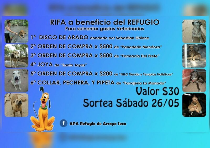 Imagen de Con tan solo 30 pesos pod?s colaborar con el refugio