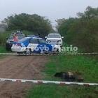 Imagen de Identificaron al hombre hallado muerto en Fighiera