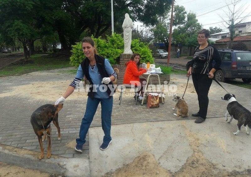 Imagen de Nueva jornada de Vacunaci?n Antirr?bica