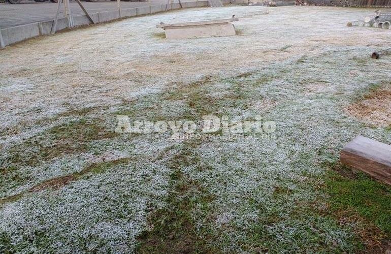 Imagen de Un manto blanco, lo que dej? la helada de este jueves