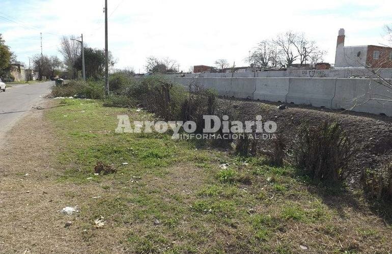 Imagen de Tras el asalto del fin de semana, cortan los ligustrines de calle 1? de Mayo