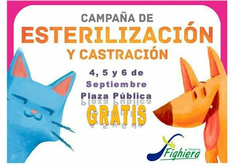 Imagen de Sobre la Campa?a de Esterilizaci?n y Castraci?n de perros y gatos