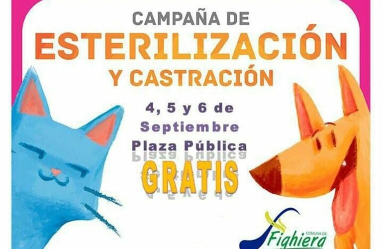 Imagen de Sobre la Campa?a de Esterilizaci?n y Castraci?n de perros y gatos