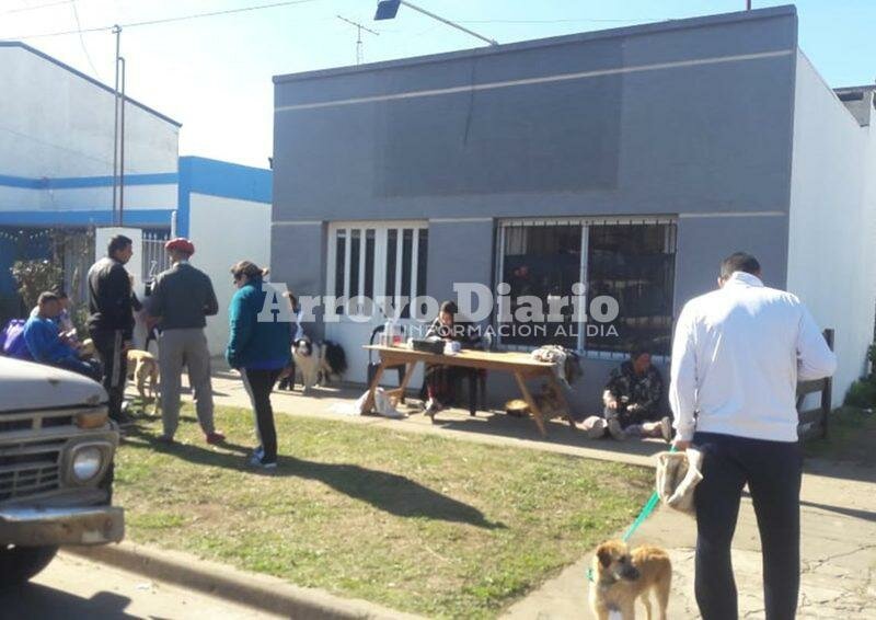 Imagen de Campa?a de castraci?n para perros y gatos