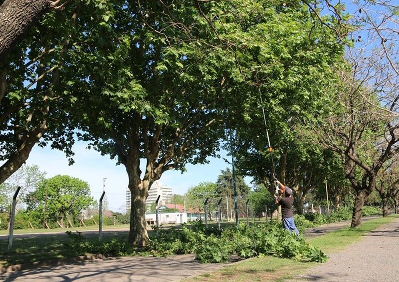 Foto: Municipalidad de Arroyo Seco.