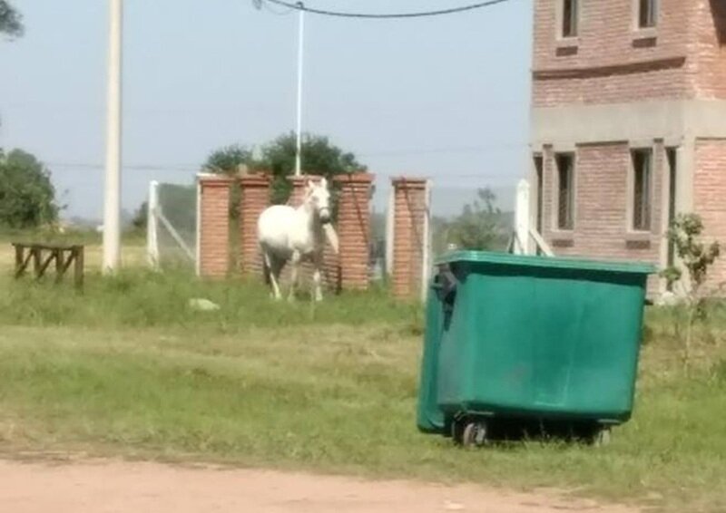 Si quer?s comunicarte con Arroyo Diario, llama al 341 6570835