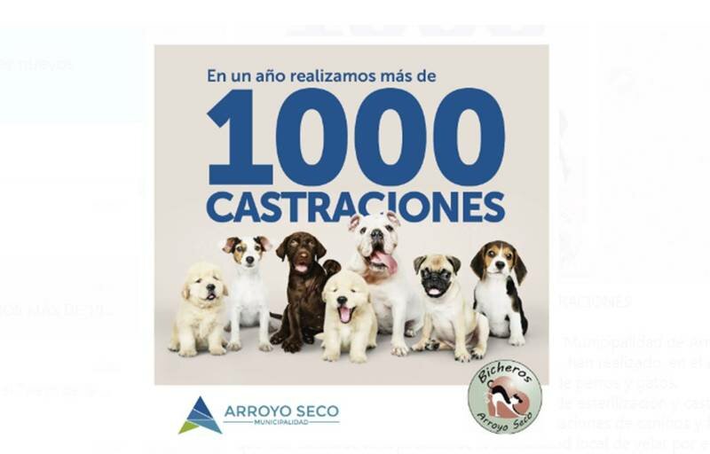 Imagen de En un a?o se realizaron m?s de 1000 castraciones