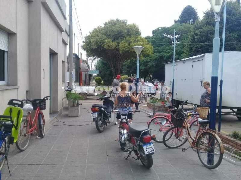 En esta oportunidad, 35 animales fueron castrados en el pueblo.