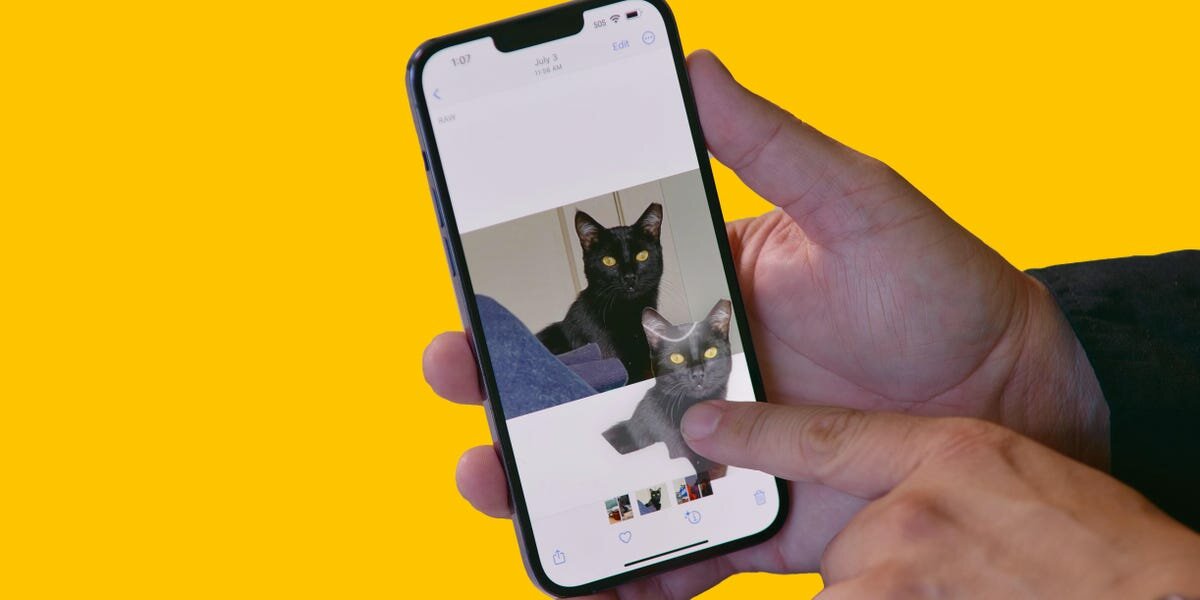 Uso de Visual Search en iOS 16 para recortar un gato en una imagen