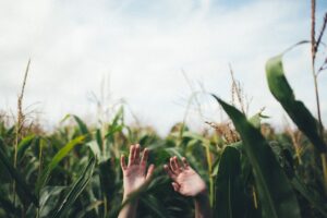 Revolución Silenciosa del Tractor en la Política Étnica de Irán